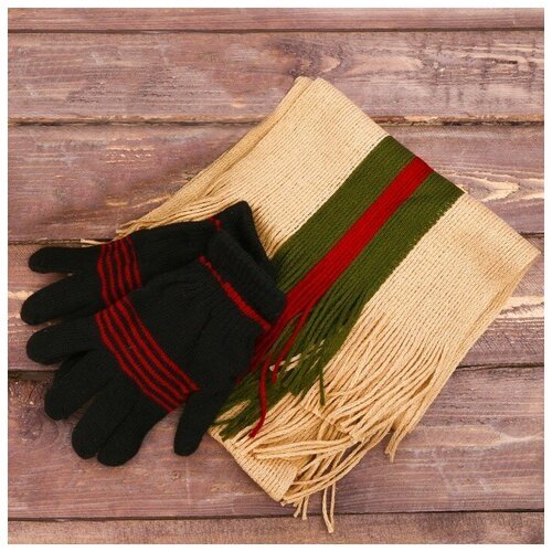 Подарочный набор 'С 23 Февраля': шарф, перчатки
