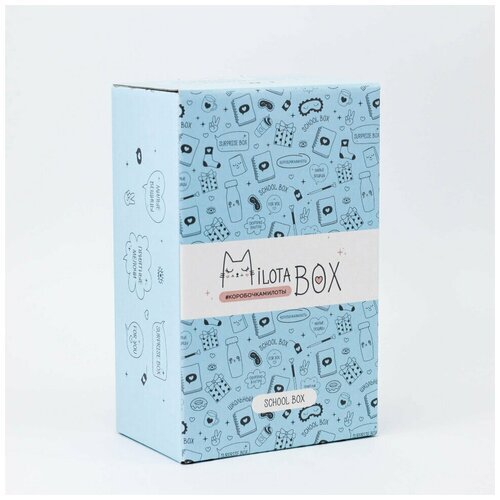 Коробочка сюрприз MilotaBox mini 'School' милота бокс, милотабокс, подарочный бокс