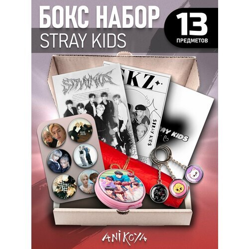 Бокс Stray Kids подарочный набор Значки Стрей Кидс