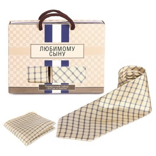 Подарочный набор: галстук и платок 'Любимому сыну'./В упаковке шт: 1