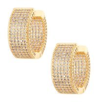 Ronda Premium Earrings LE309б