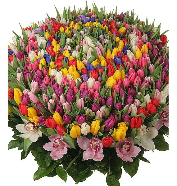 Композиция из 301 тюльпана 'Счастливая весна'