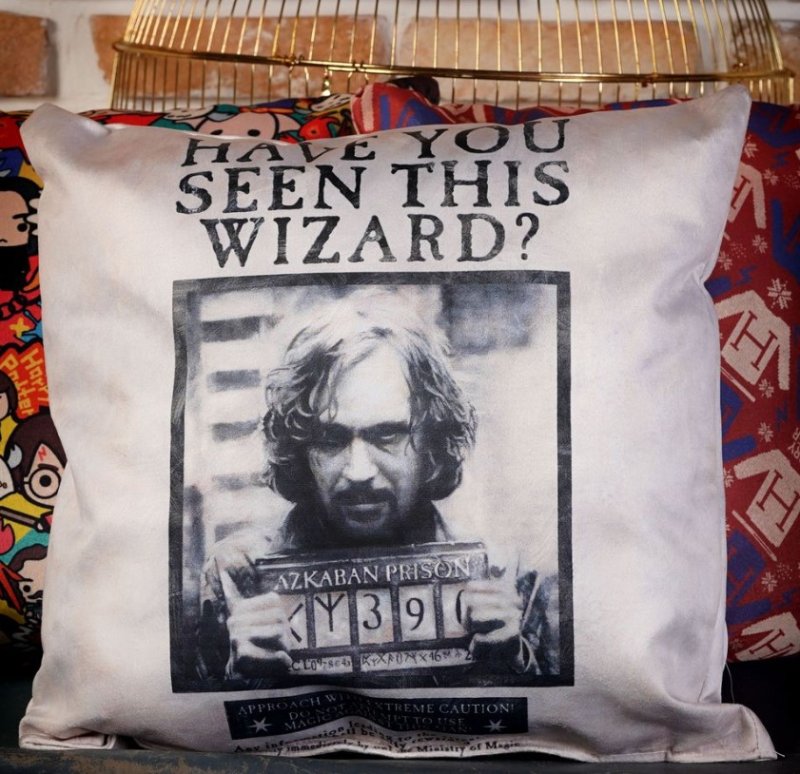 Подушка Harry Potter: Have You Seen This Wizard