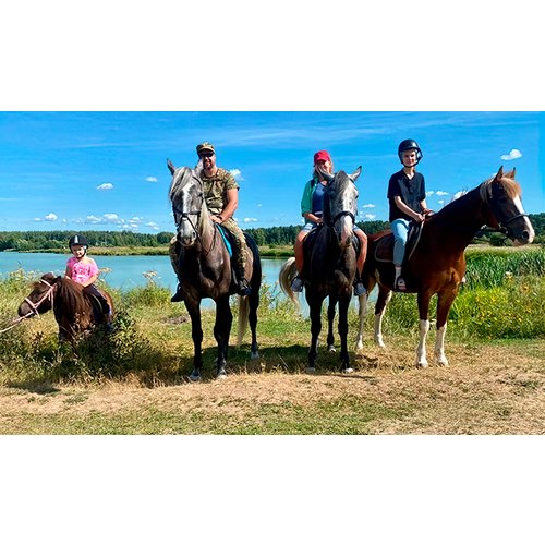 Сертификат Семейная конная прогулка в поля для 2 взрослых и 1 ребенка (1 час) (Московская область)
