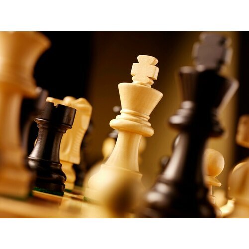 Подарочный сертификат «Мастер-класс шахматы» (Пакет №1, 1 человек)