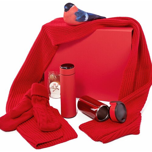 Подарочный набор Зимняя Гармония с термокружкой, шарфом, варежками и антистрессом