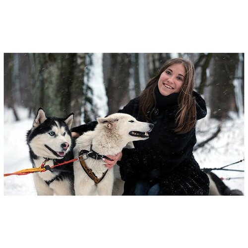 Сертификат Экскурсия к северным оленям и собакам, 2 взрослых+1 ребенок в выходной день (Московская область)