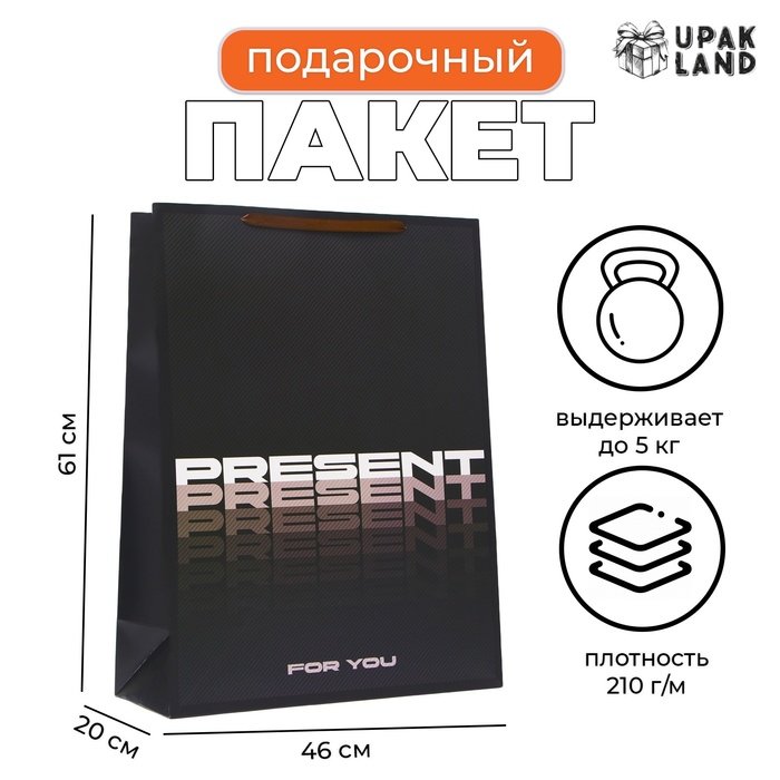 Пакет ламинированный  'Present', XXL  46 х 61 х 20 см