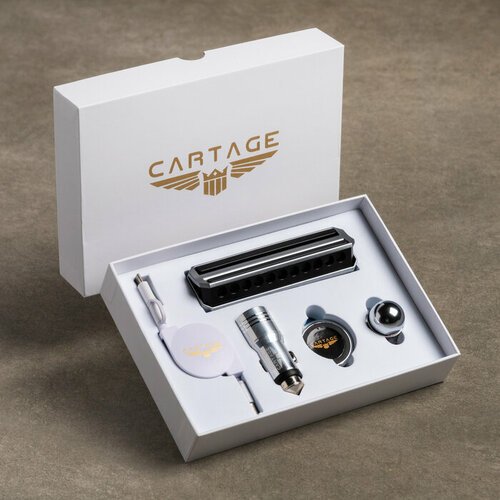 Cartage Подарочный набор Cartage, лучшему водителю, 4 предмета