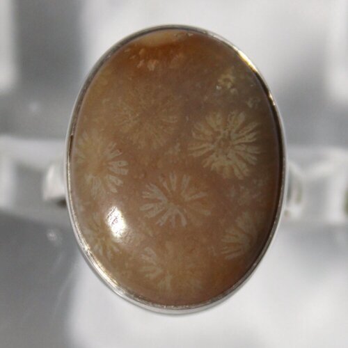 Кольцо True Stones, коралл, размер 17, коричневый